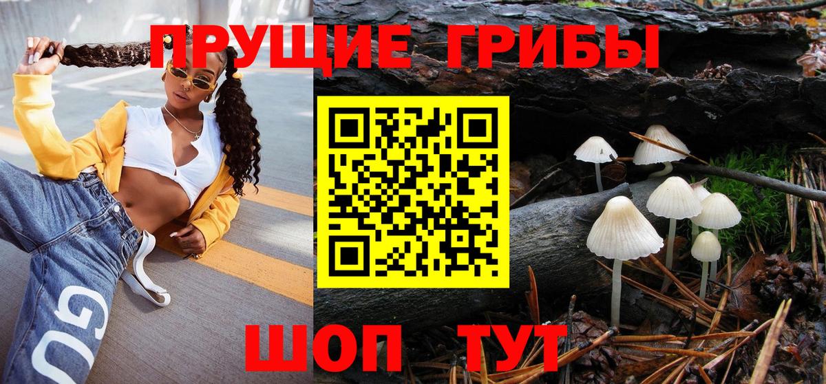 Звенигород  Галлюциногенные грибы Psilocybe  Вход с VPN 